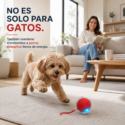 PlayBall™ | Pelota Inteligente Interactiva para Mascotas.