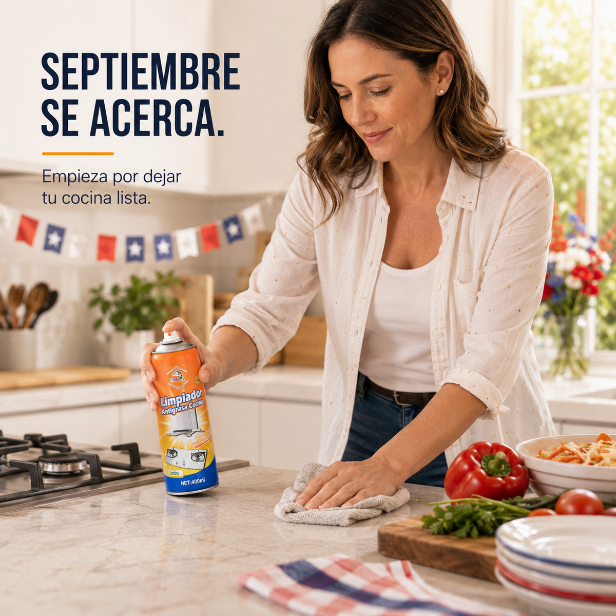 BAOMA™ LIMPIADOR ESPUMA ANTI GRASA.