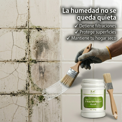 Sellador Impermeable Transparente 300g.